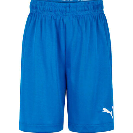 Puma Velize Shorts Herre Xs Blå