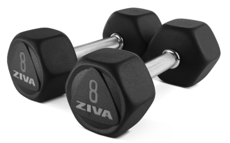 Ziva Sl Premium Hexagon Virgin Rubber Dumbbells, 1kg