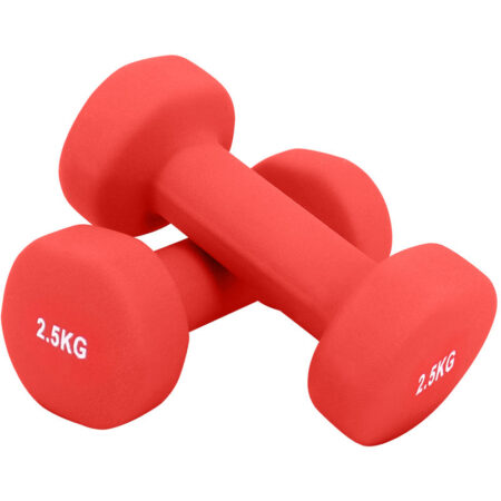 Greenbay Neoprene Dumbbell Home Gym Fitness Arm Hand Weights Pilates Dumbbells Set 2.5Kg (pair) Red