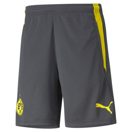 Puma Dortmund Træningsshorts Herrer Tøj Grå S