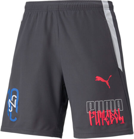 Puma Neymar Jr Futebol Træningsshorts Herrer Tøj Grå Xs